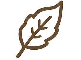 Leaf Icon